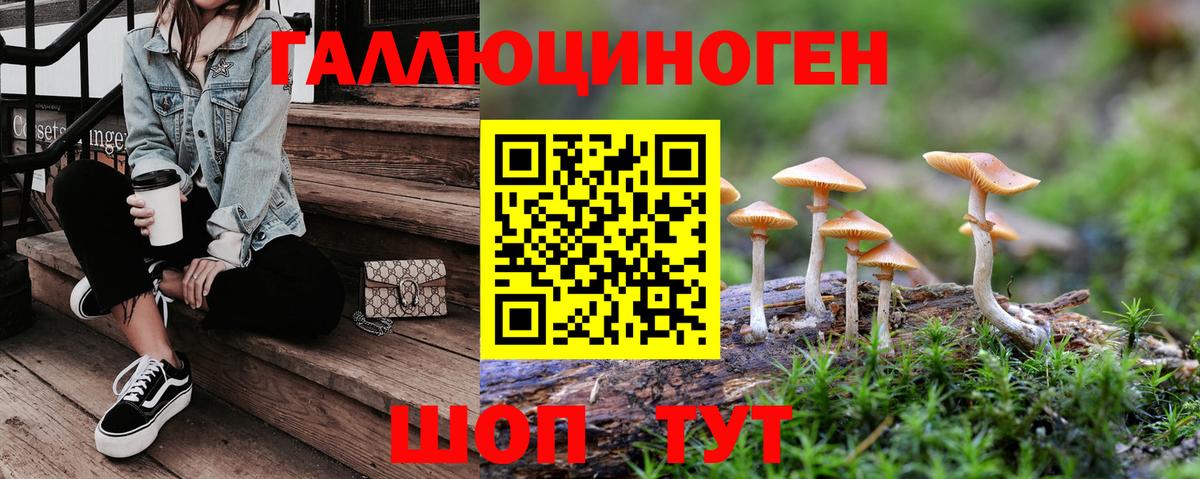 Псилоцибиновые грибы ЛСД Бор